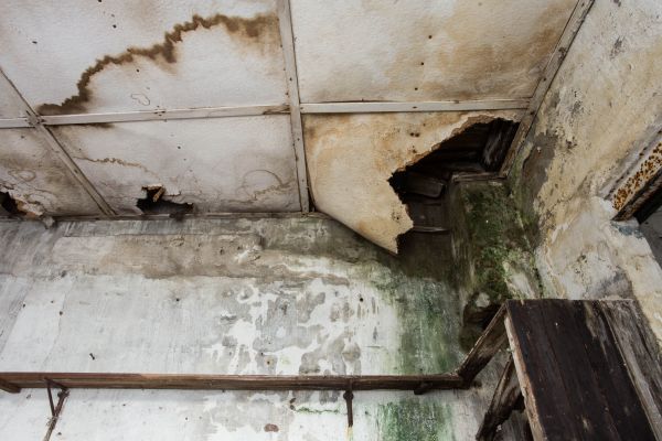 Water Damage Service in Redmond