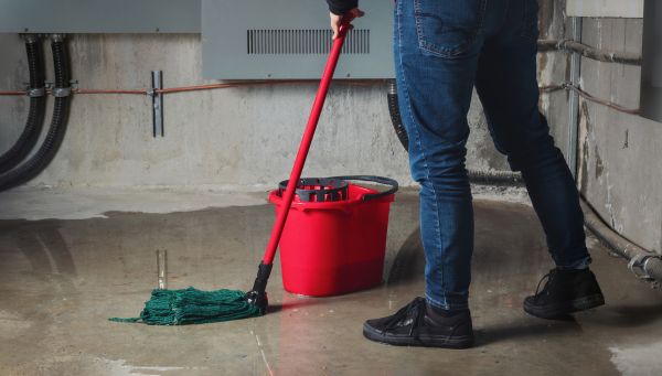 Flooded Basement Cleanup in Redmond