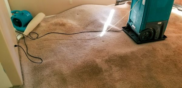 Carpet Water Extraction in Redmond