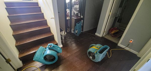 Water Damage Remediation in Redmond