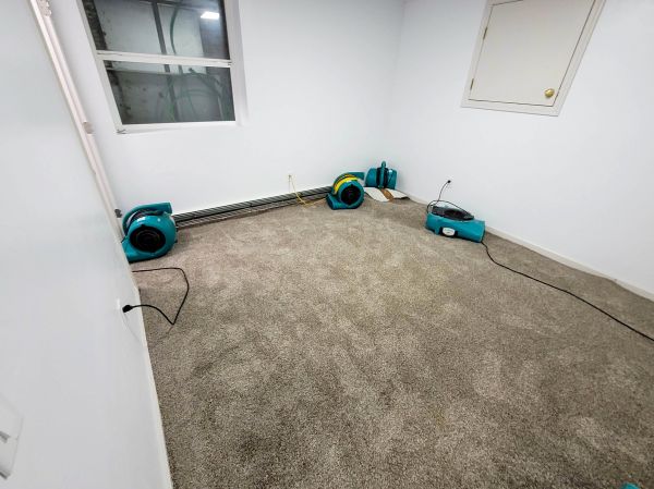 Flood Restoration Service in Redmond