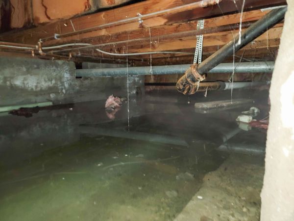 Water Mitigation Service in Redmond