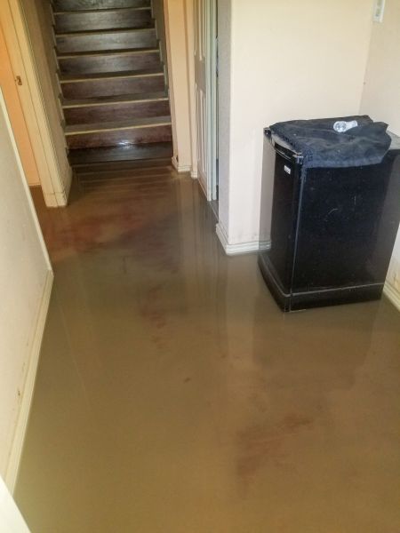 Emergency Water Removal in Redmond