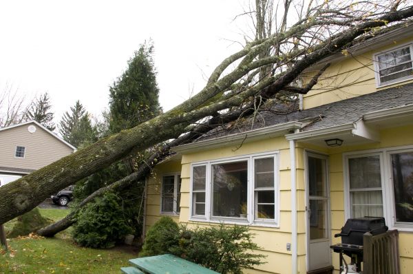 Hurricane Damage Repair in Redmond